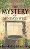THE MYSTERY OF SUNDAYS WELL: murder in a small Irish town (Cozy small-town Irish murder mysteries Book 2) by Crosse Anne