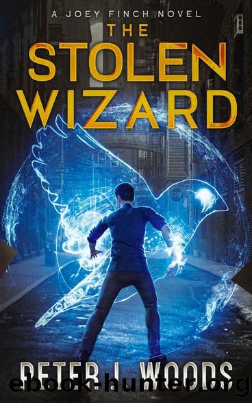 THE STOLEN WIZARD: A Joey Finch Novel by Peter J. Woods