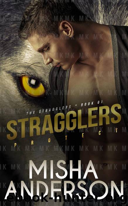 THE STRAGGLERS PROTECT by Misha Anderson