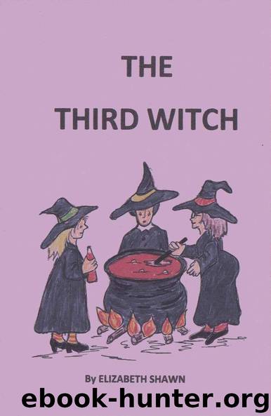 THE THIRD WITCH (A Rachael Penzra Mystery) by Elizabeth Shawn