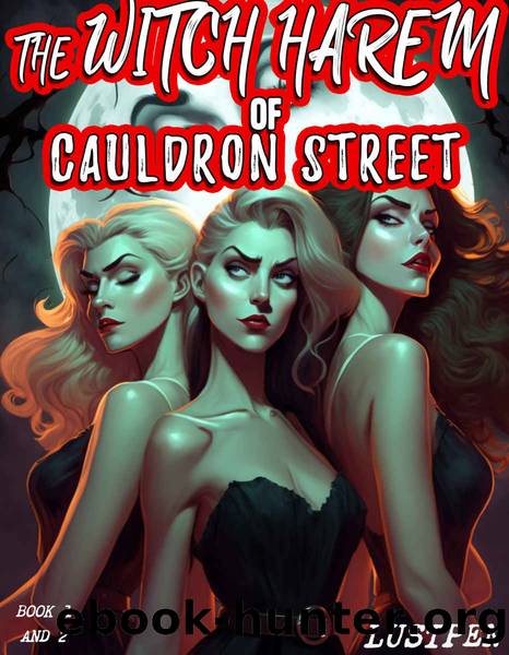 THE WITCH HAREM OF CAULDRON STREET: BECOMING THE WITCH KING (BOOK ONE AND TWO BUNDLE) by LUSTPEN & FIBBWORTHY