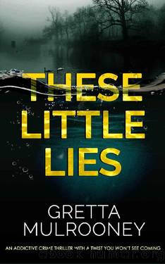 THESE LITTLE LIES An addictive crime thriller with a twist you won't see coming by GRETTA MULROONEY