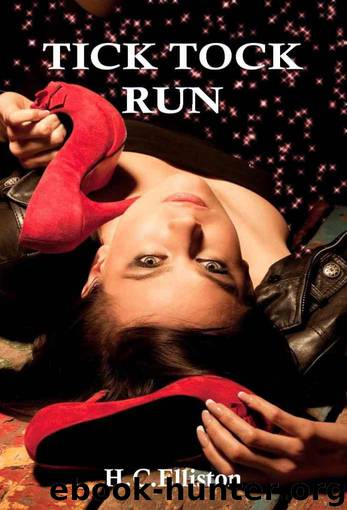 TICK TOCK RUN (Romantic Mystery Thriller) by Elliston H