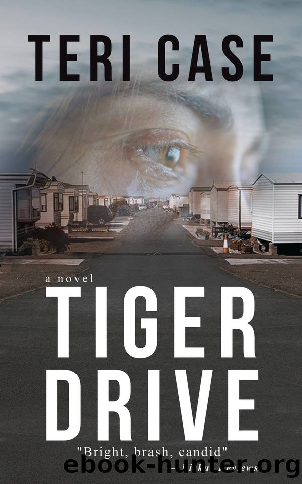 TIGER DRIVE by Teri Case