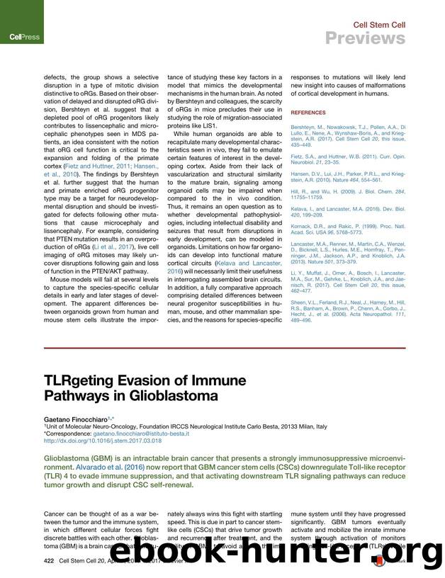 TLRgeting Evasion of Immune Pathways in Glioblastoma by Gaetano Finocchiaro