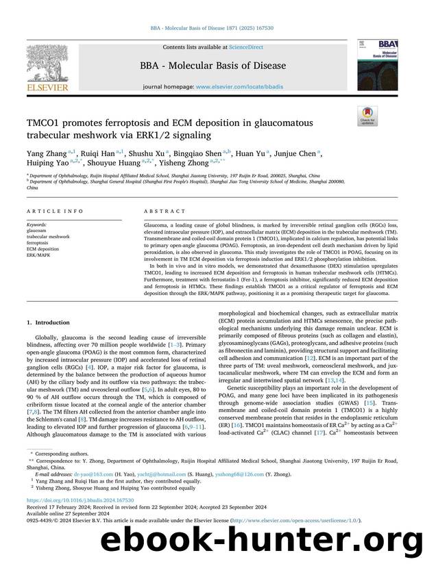 TMCO1 promotes ferroptosis and ECM deposition in glaucomatous trabecular meshwork via ERK12 signaling by unknow