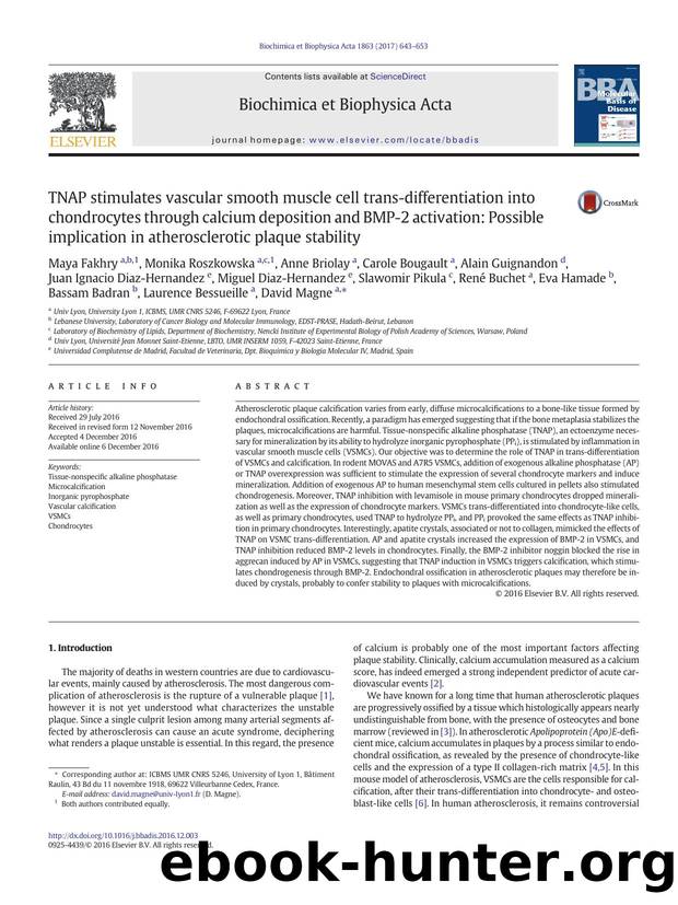 TNAP stimulates vascular smooth muscle cell trans-differentiation into chondrocytes through calcium deposition and BMP-2 activation: Possible implication in atherosclerotic plaque stability by unknow