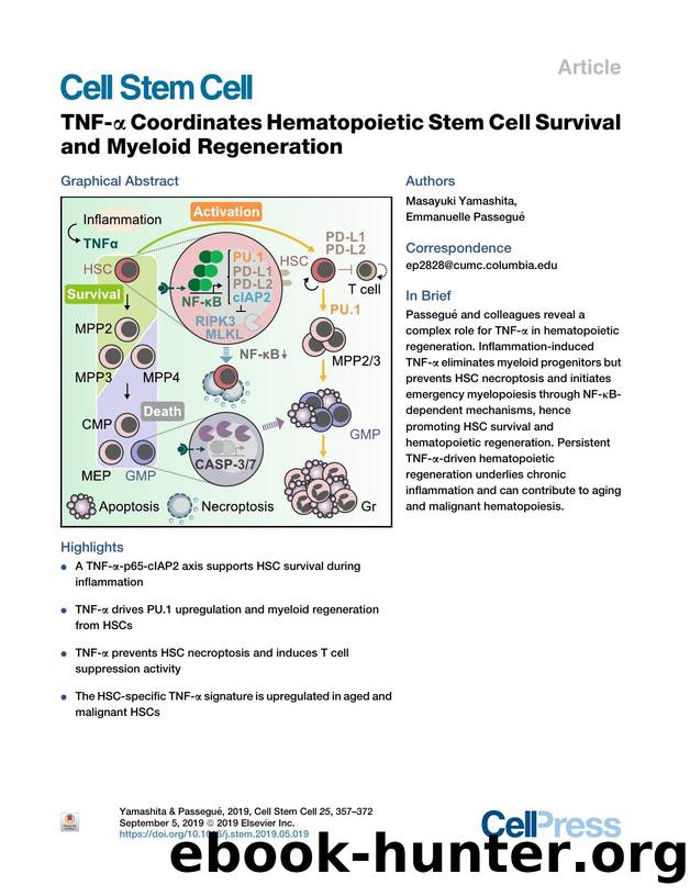 TNF-&alpha; Coordinates Hematopoietic Stem Cell Survival and Myeloid Regeneration by Masayuki Yamashita & Emmanuelle Passegué