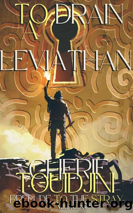 TO DRAIN A LEVIATHAN by Touidjini Cherif