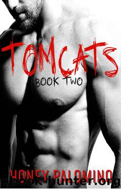 TOMCATS [BOOK TWO] by Honey Palomino