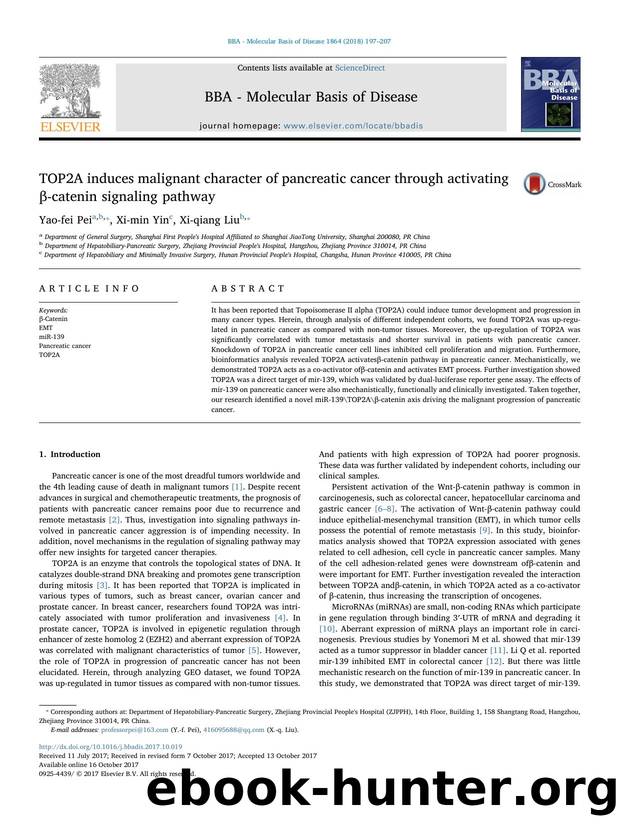 TOP2A induces malignant character of pancreatic cancer through activating Î²-catenin signaling pathway by Yao-fei Pei & Xi-min Yin & Xi-qiang Liu