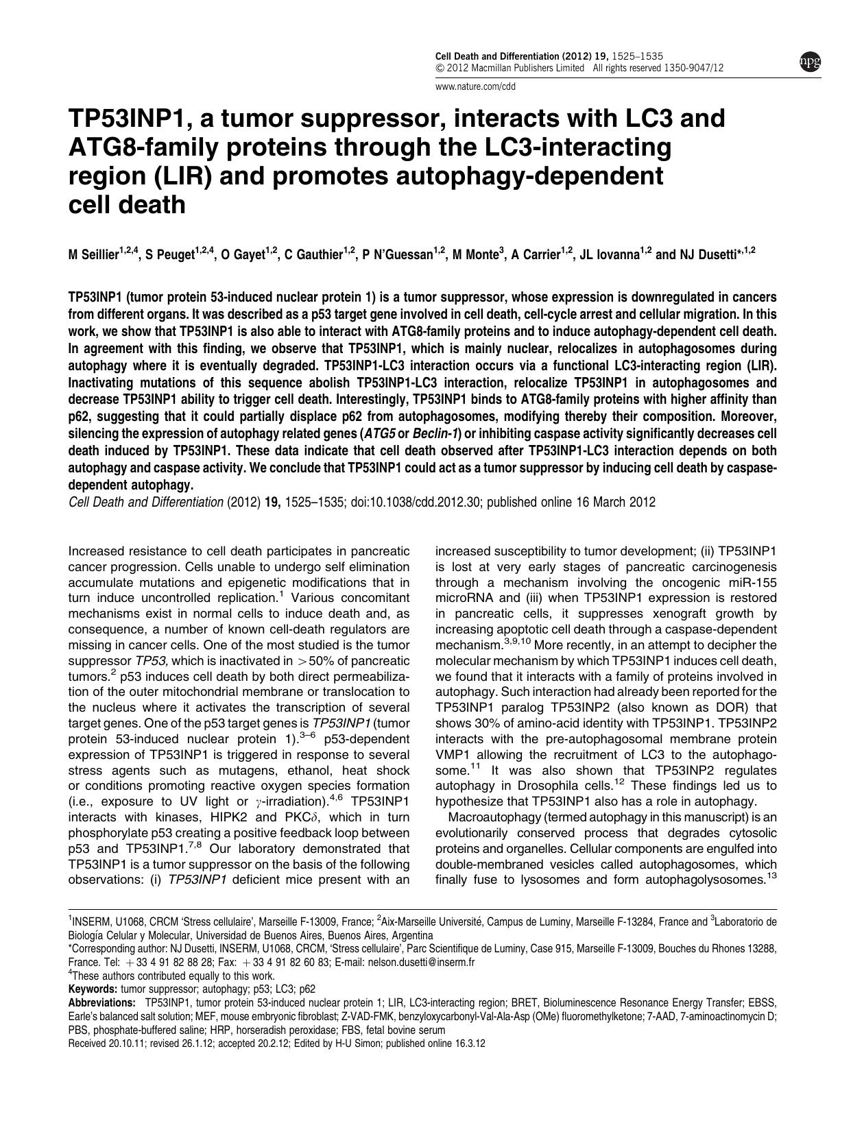 TP53INP1, a tumor suppressor, interacts with LC3 and ATG8-family proteins through the LC3-interacting region (LIR) and promotes autophagy-dependent cell death by unknow