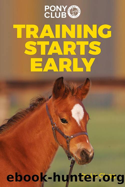 TRAINING STARTS EARLY by Lis Clegg