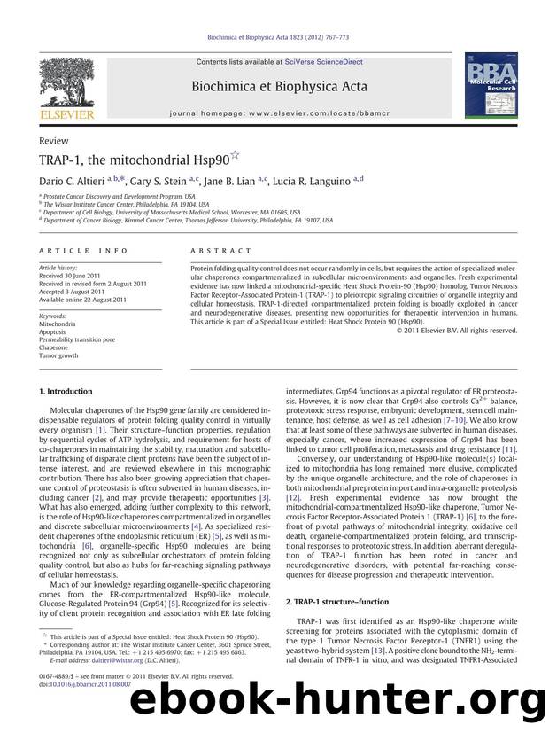 TRAP-1, the mitochondrial Hsp90 by Dario C. Altieri & Gary S. Stein & Jane B. Lian & Lucia R. Languino