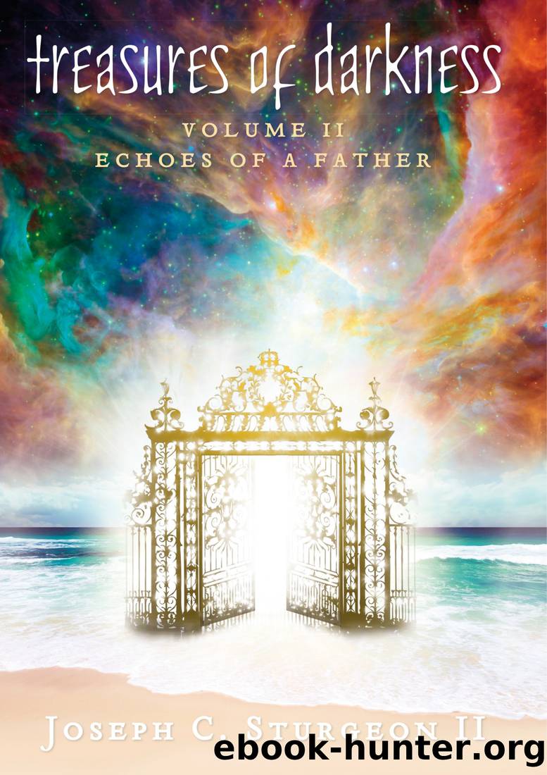 TREASURES OF DARKNESS : Volume II Echoes of a Father by Joseph C. Sturgeon II