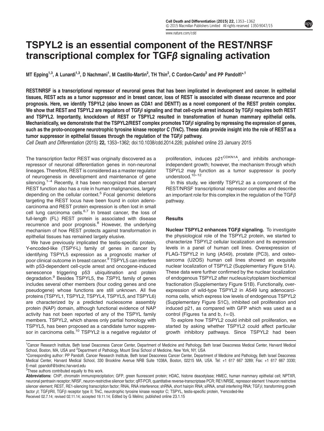 TSPYL2 is an essential component of the REST&sol;NRSF transcriptional complex for TGF&beta; signaling activation by M T Epping & A Lunardi & D Nachmani & M Castillo-Martin & T H Thin & C Cordon-Cardo & P P Pandolfi &