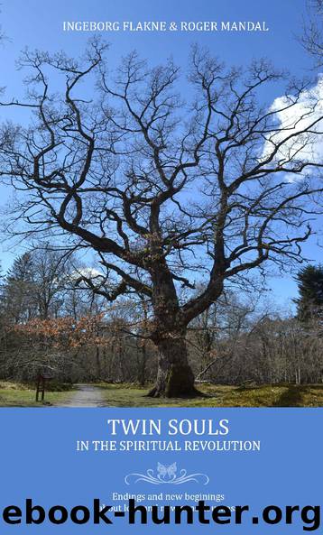 TWIN SOULS by Map Systems
