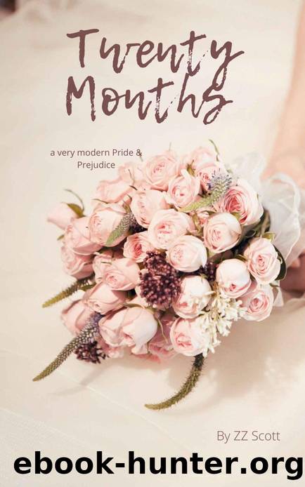 TWNTY MNTHS : Twenty Months by ZZ Scott