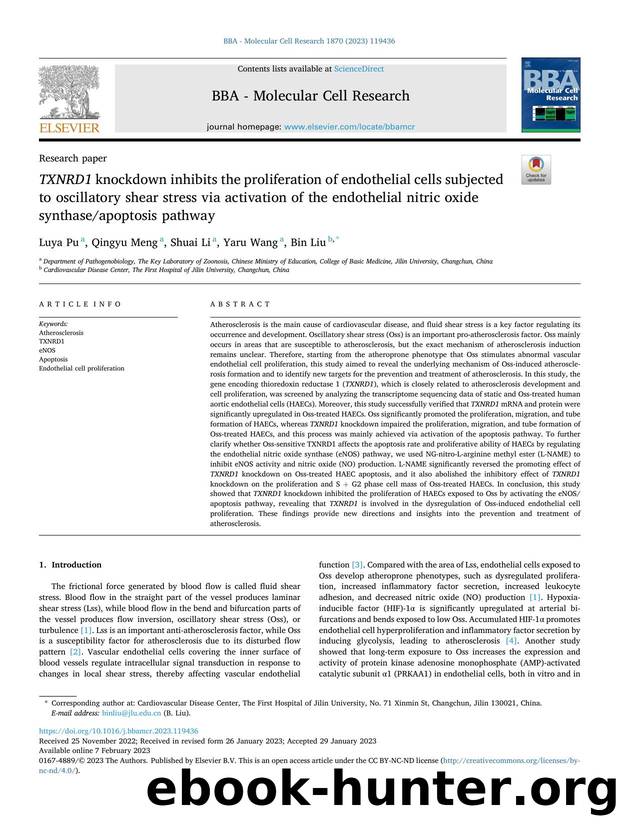 TXNRD1 knockdown inhibits the proliferation of endothelial cells subjected to oscillatory shear stress via activation of the endothelial nitric oxide synthaseapoptosis pathway by Luya Pu & Qingyu Meng & Shuai Li & Yaru Wang & Bin Liu