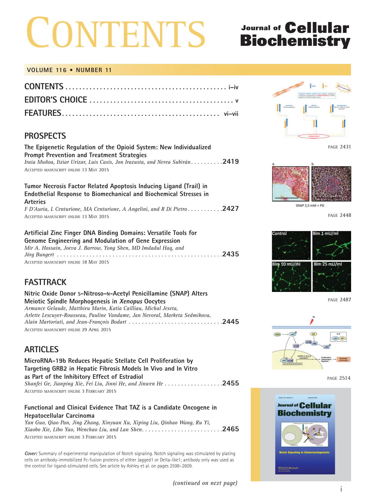 Table of Contents: Volume 116, Number 11 by Unknown