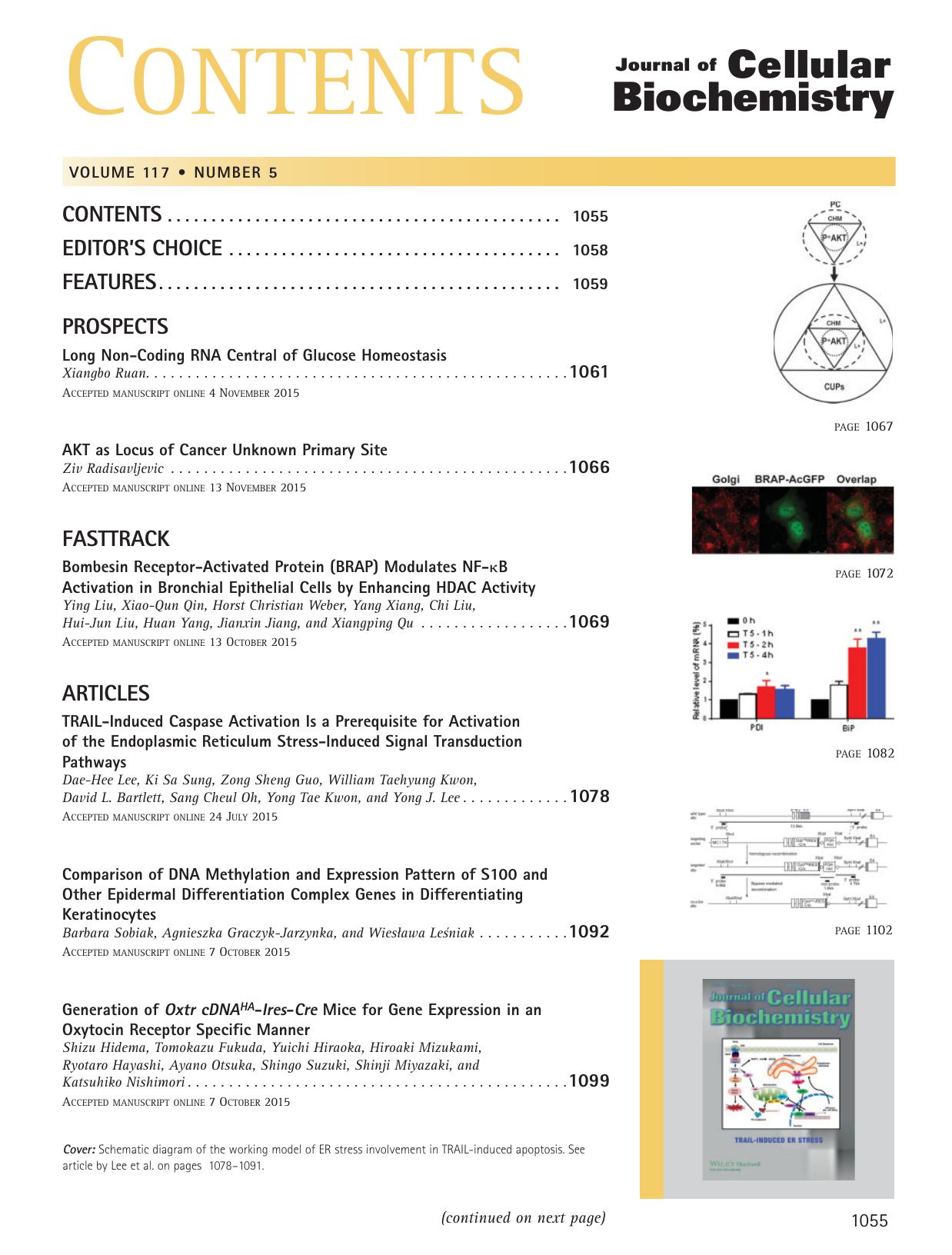 Table of Contents: Volume 117, Number 5 by Unknown