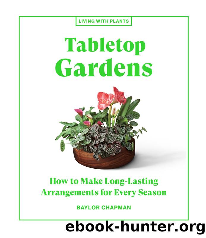 Tabletop Gardens by Baylor Chapman