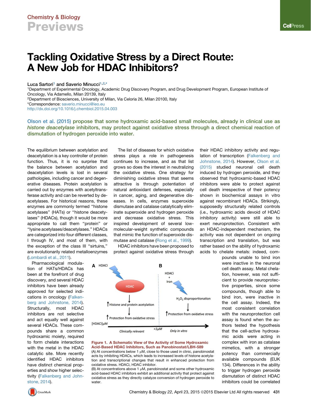 Tackling Oxidative Stress by a Direct Route: A New Job for HDAC Inhibitors? by Luca Sartori & Saverio Minucci