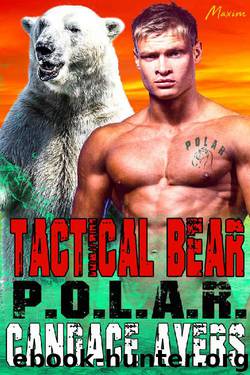 Tactical Bear by Candace Ayers