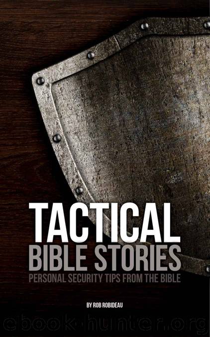 Tactical Bible Stories: Personal Security Tips from the Bible by Rob Robideau