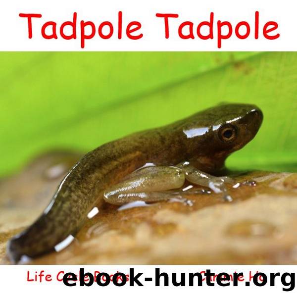 Tadpole Tadpole by Cammie Ho