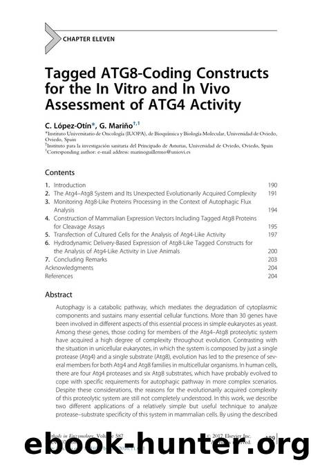 Tagged ATG8-Coding Constructs for the In Vitro and In Vivo Assessment of ATG4 Activity by C. López-Otín & G. Mariño