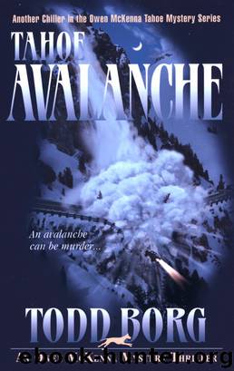 Tahoe Avalanche by Todd Borg