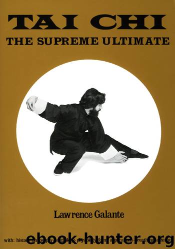 Tai Chi by Galante Lawrence