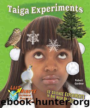Taiga Experiments by Robert Gardner