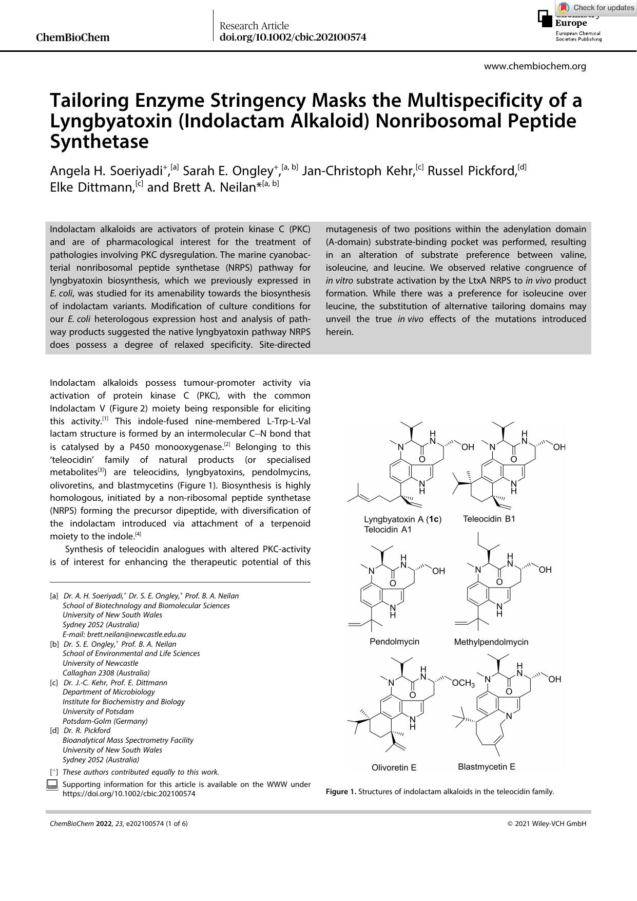 Tailoring Enzyme Stringency Masks the Multispecificity of a Lyngbyatoxin (Indolactam Alkaloid) Nonribosomal Peptide Synthetase by Unknown