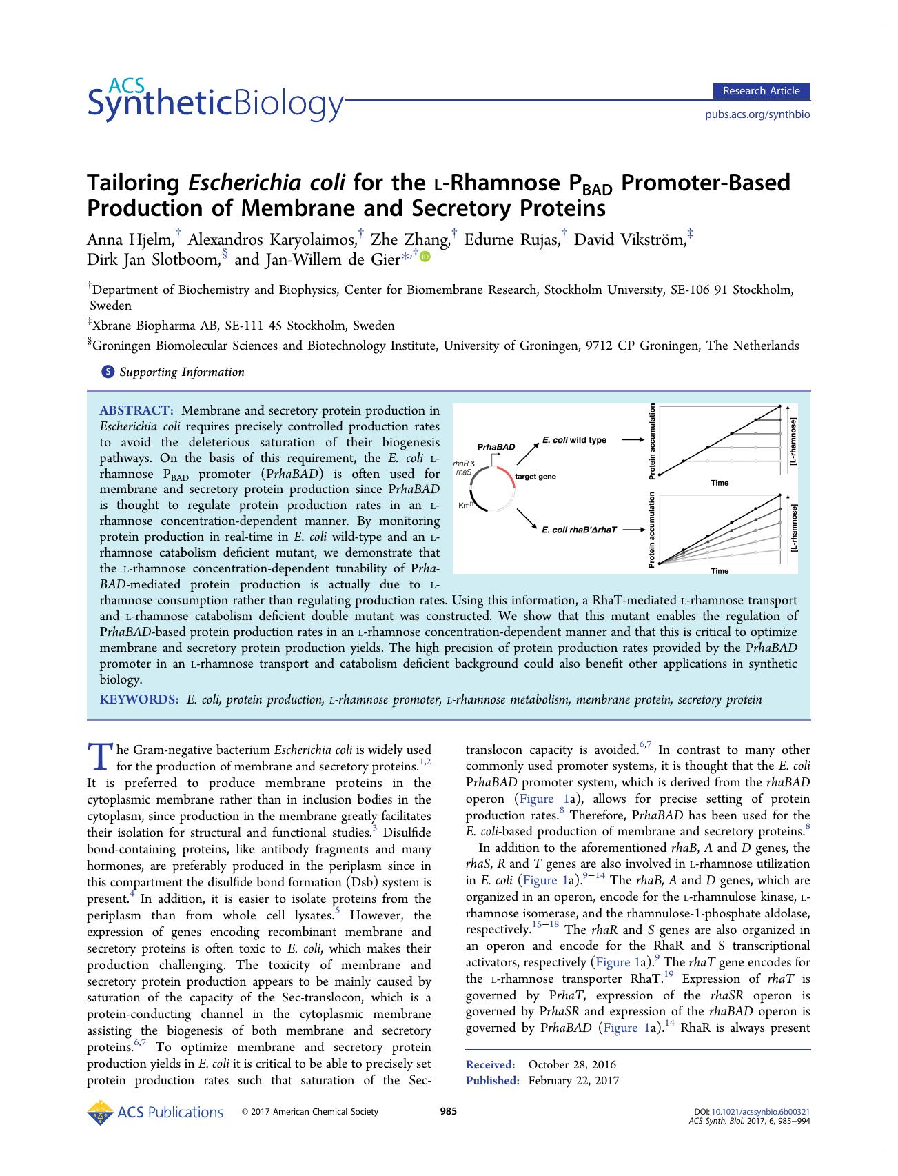 Tailoring Escherichia coli for the l-Rhamnose PBAD Promoter-Based Production of Membrane and Secretory Proteins by unknow