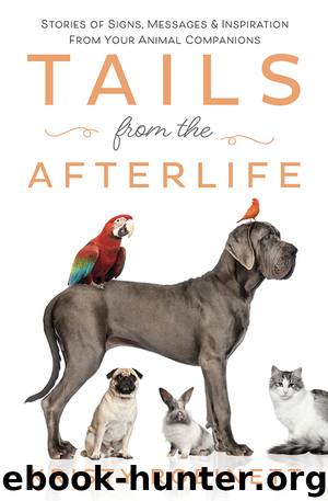 Tails from the Afterlife by Kristy Robinett