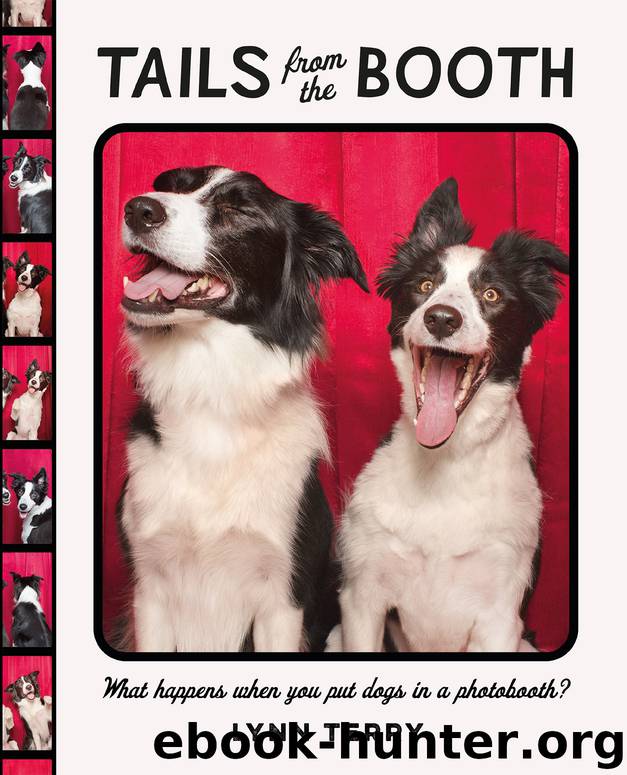 Tails from the Booth by Lynn Terry
