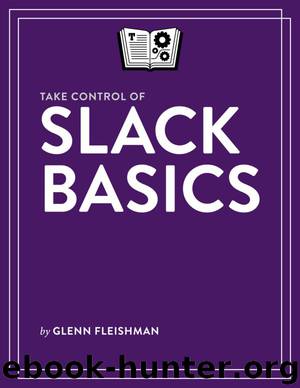 Take Control of Slack Basics by Glenn Fleishman