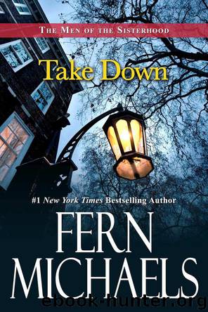 Take Down (The Men of the Sisterhood) by Fern Michaels