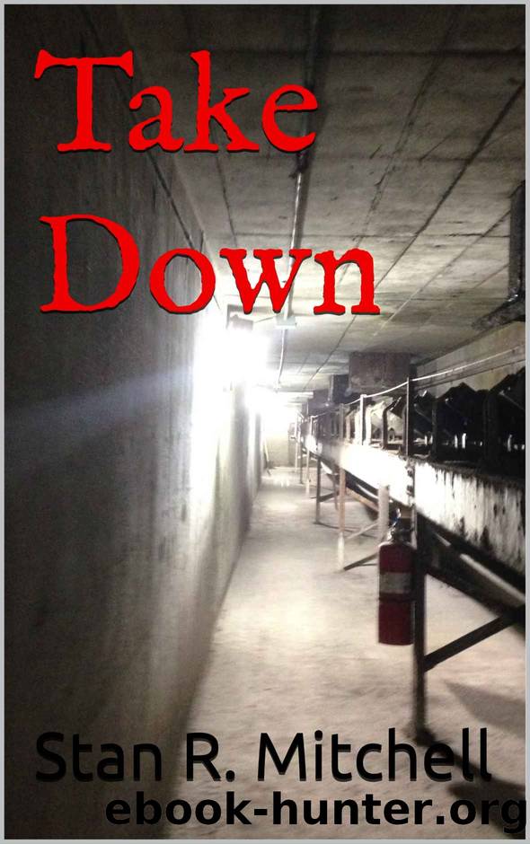 Take Down by Mitchell Stan R
