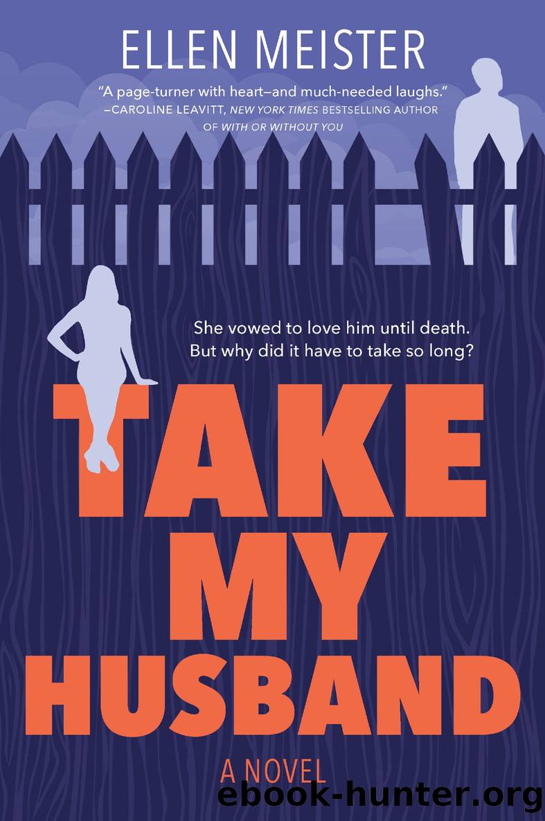 Take My Husband by Ellen Meister