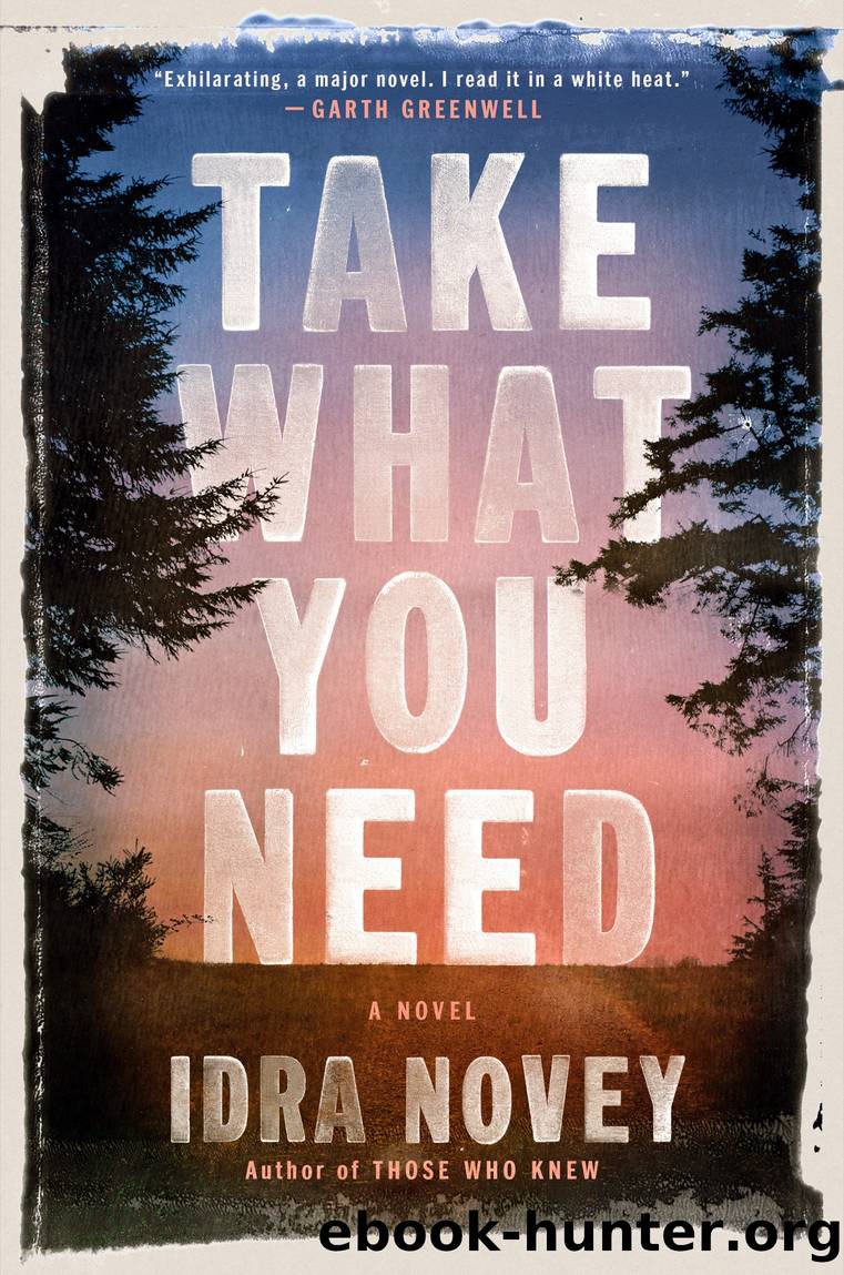 Take What You Need by Idra Novey