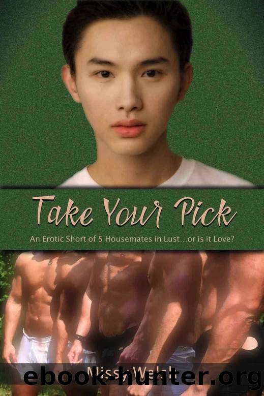 Take Your Pick: An Erotic Short of 5 Housemates in Lust…or is it Love? by Missy Welsh
