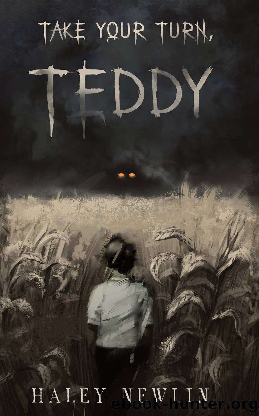 Take Your Turn, Teddy by HALEY NEWLIN