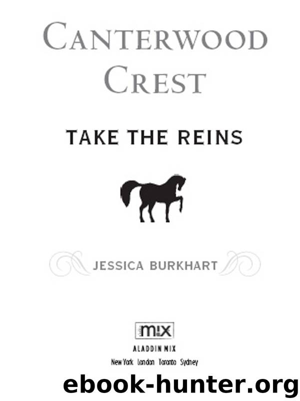 Take the Reins by Jessica Burkhart