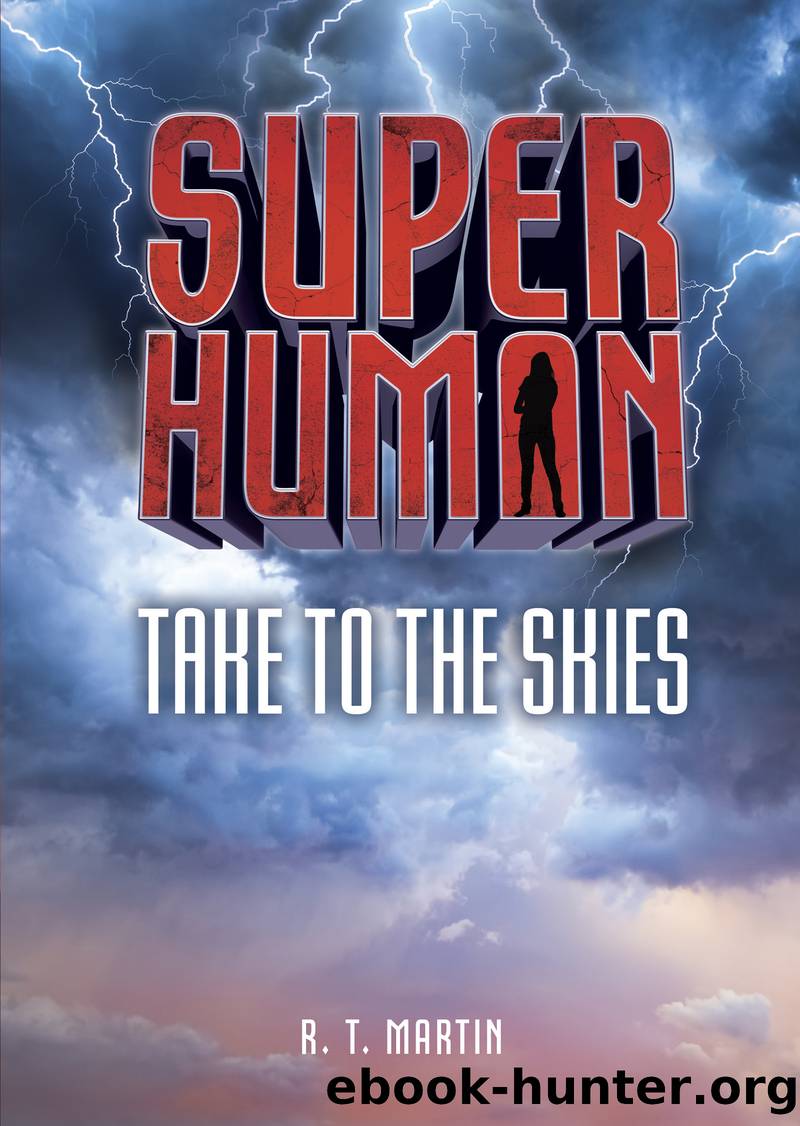 Take to the Skies by R. T. Martin