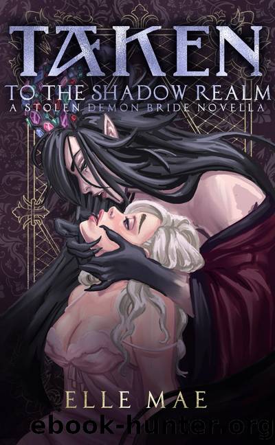 Taken to the Shadow Realm by Elle Mae