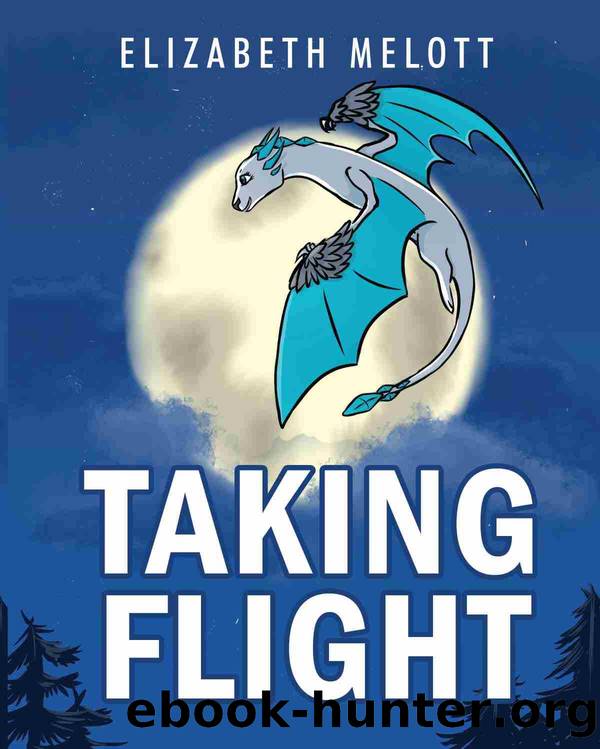 Taking Flight by Elizabeth Melott