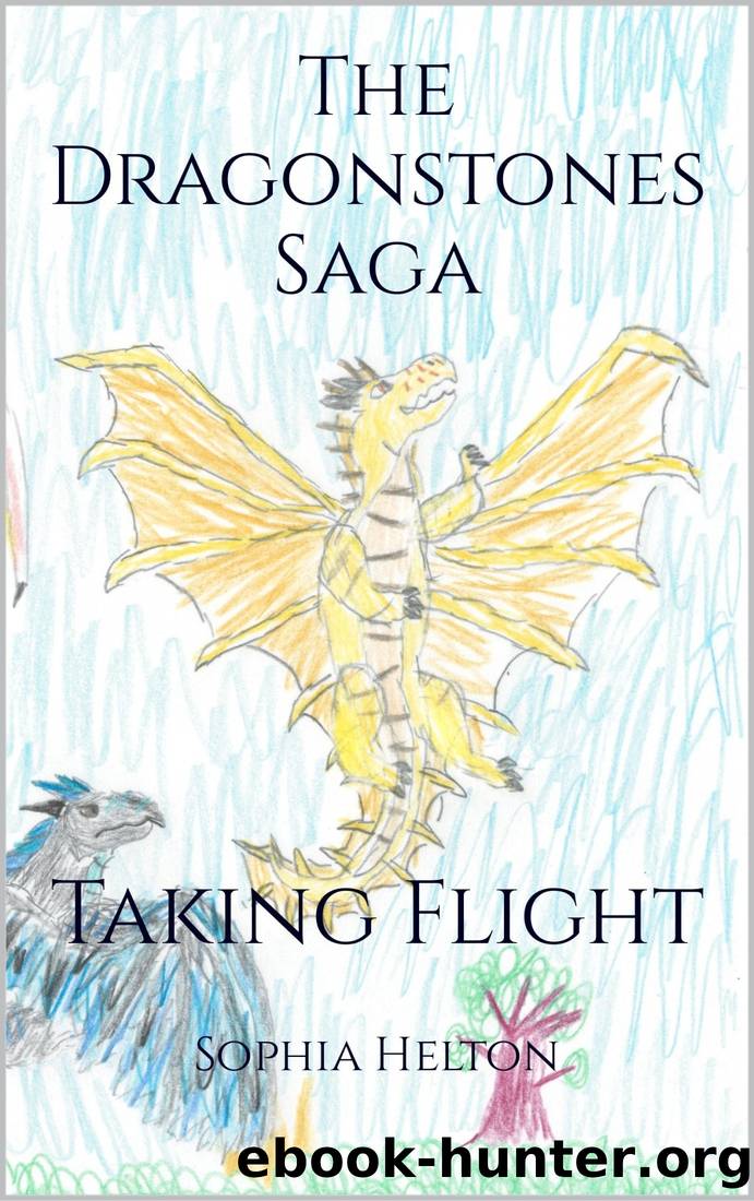 Taking Flight by Sophia Marie Helton
